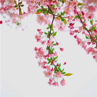 亿拳超人手机版(暂未上线)v1.0.0 安卓版